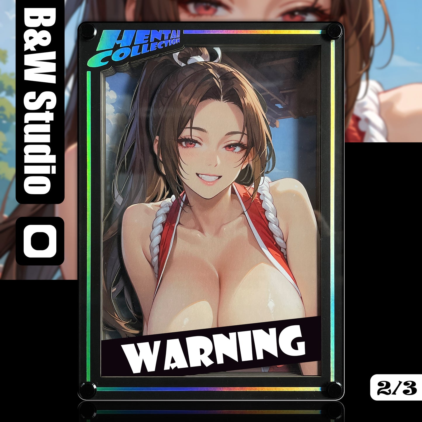B&W Studio - Shiranui Mai Poster Frame HCC-002A / HCC-002B / HCC-002C [3 Variants]