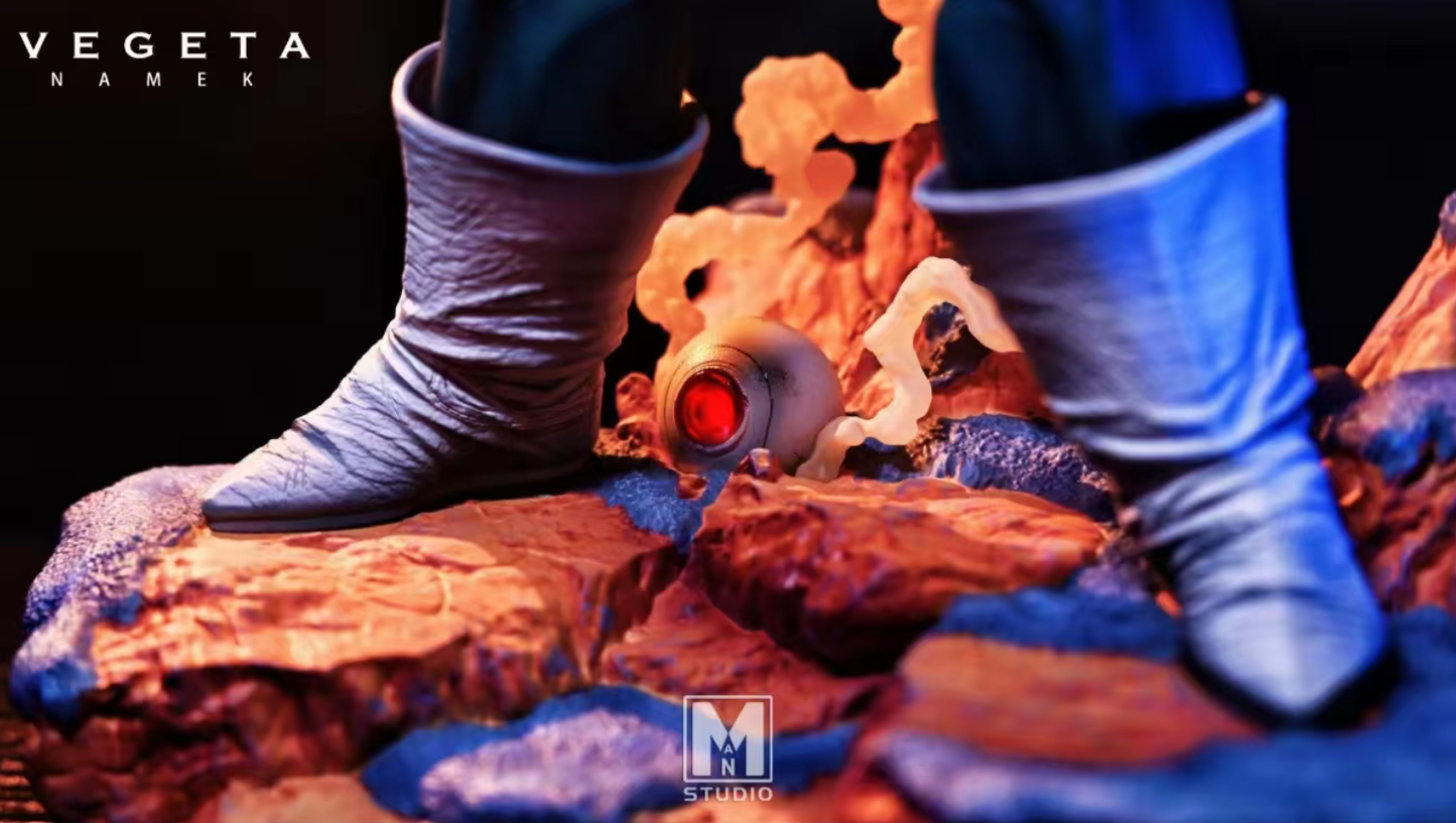 MAN Studio - Vegeta [5 Variants]