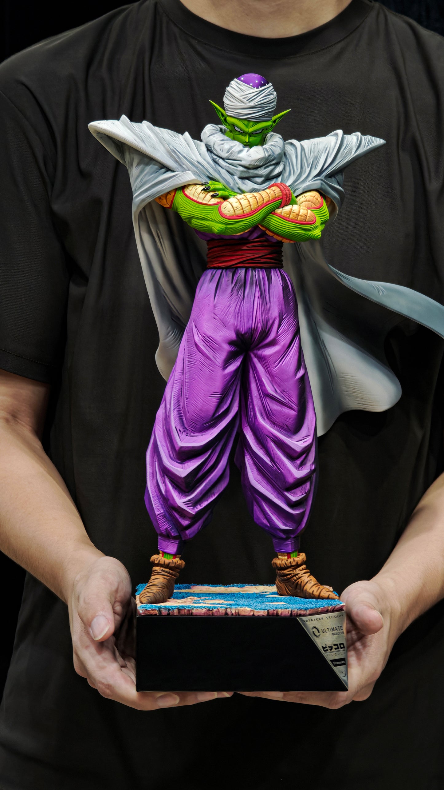 Notricks Studio - Homecoming: Warrior of Namek [8 Variants]