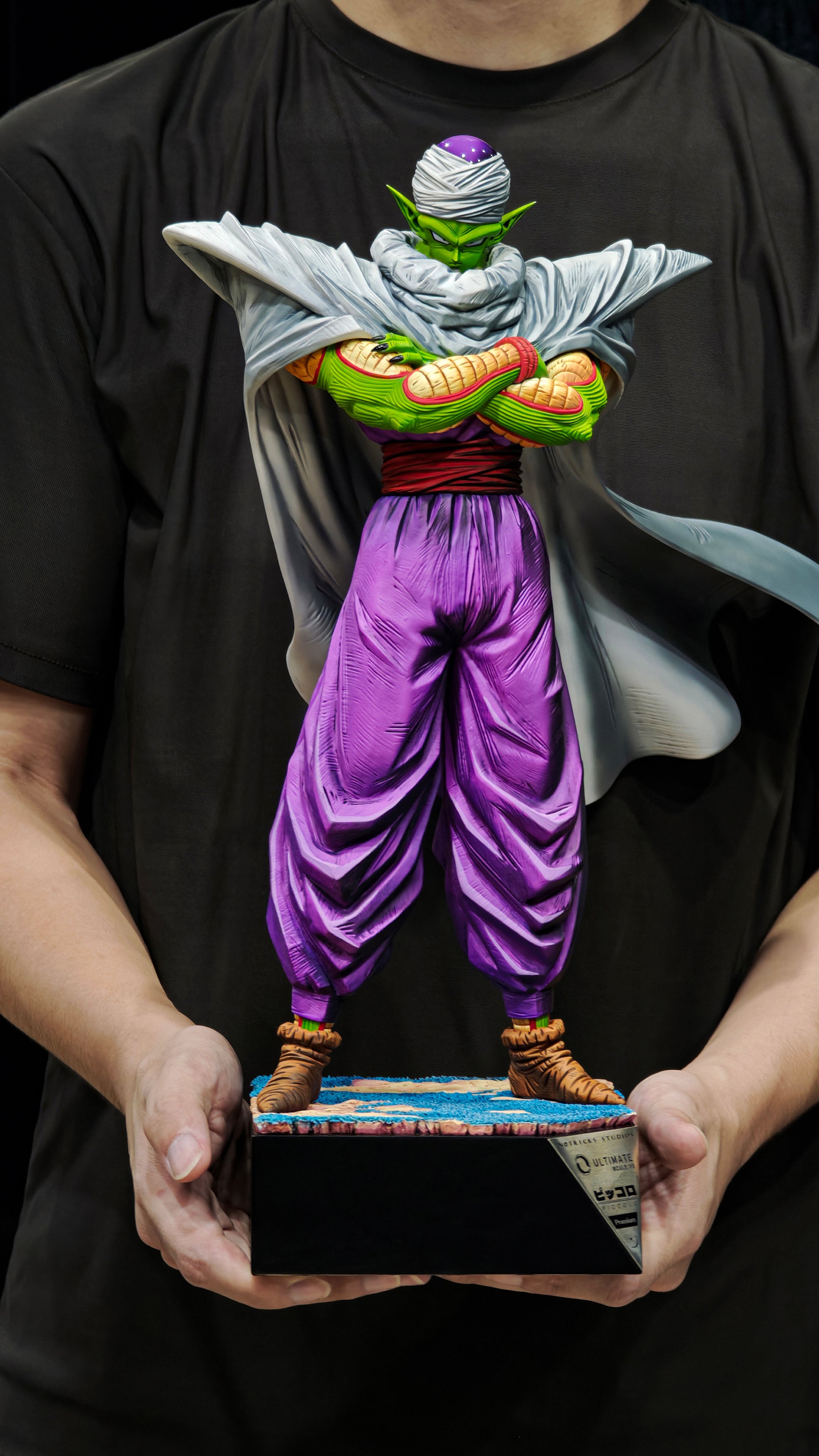 Notricks Studio - Homecoming: Warrior of Namek [8 Variants]