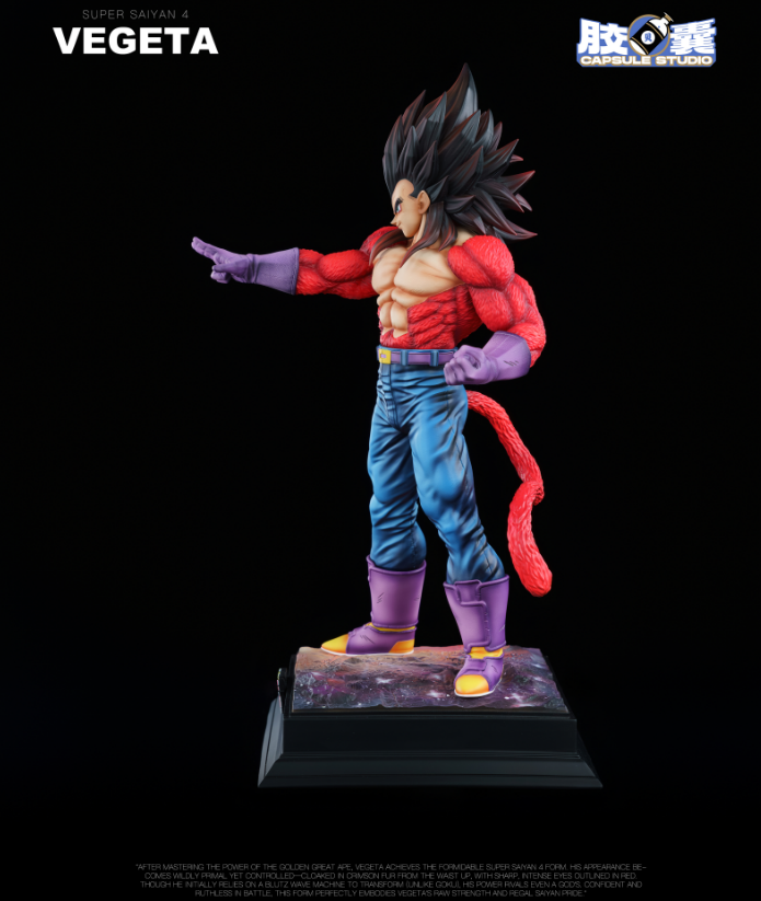 Capsule Studio - Super Saiyan 4 Vegeta [6 Variants]