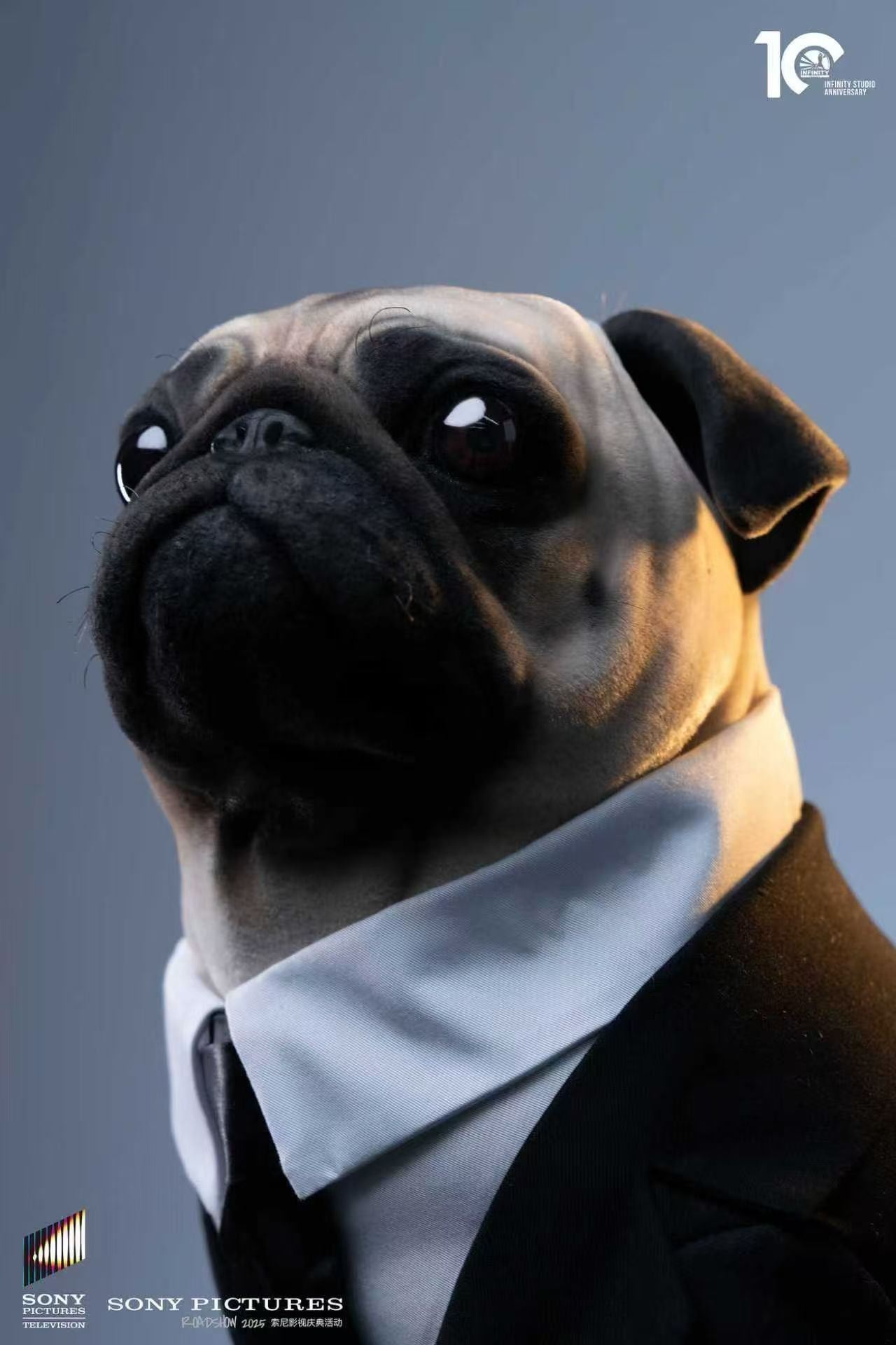 Infinity Studio - Frank [Licensed]