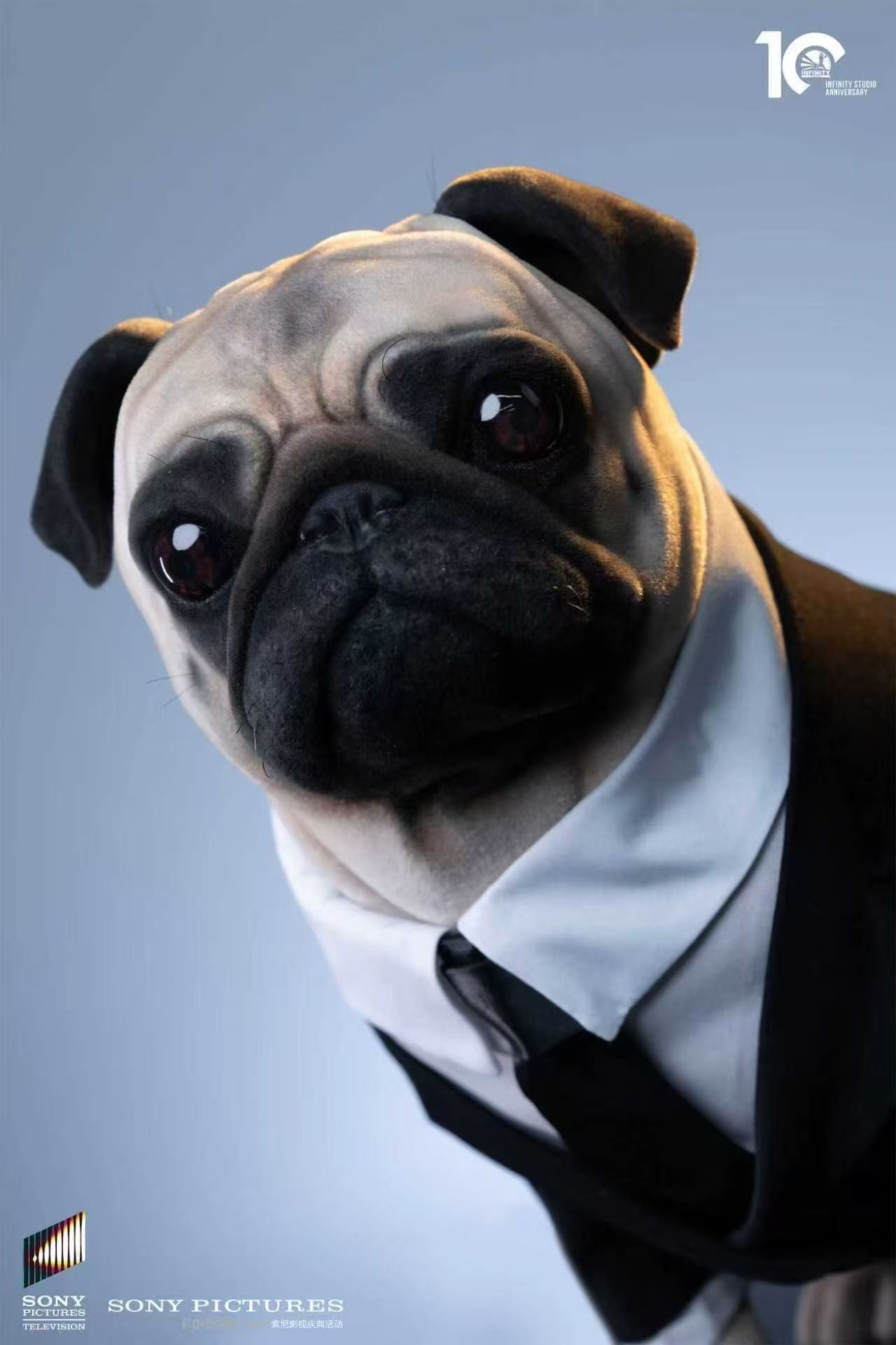 Infinity Studio - Frank [Licensed]