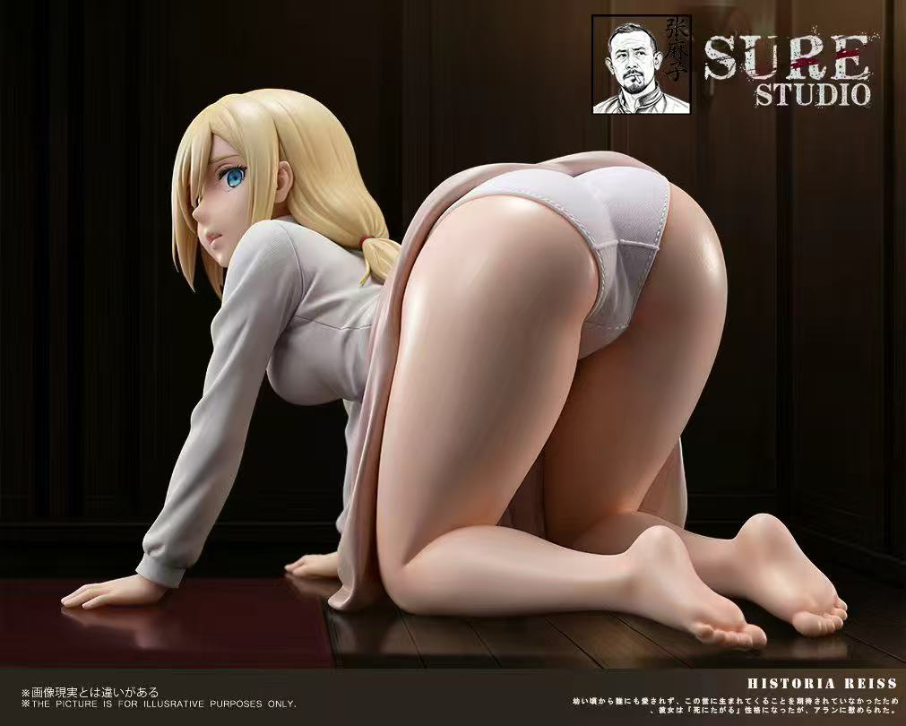 Sure Studio - Historia Reiss
