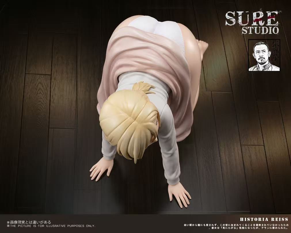 Sure Studio - Historia Reiss