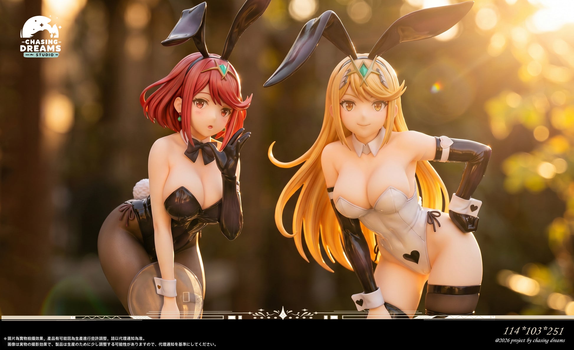 Chasing Dreams Studio - Pyra / Mythra