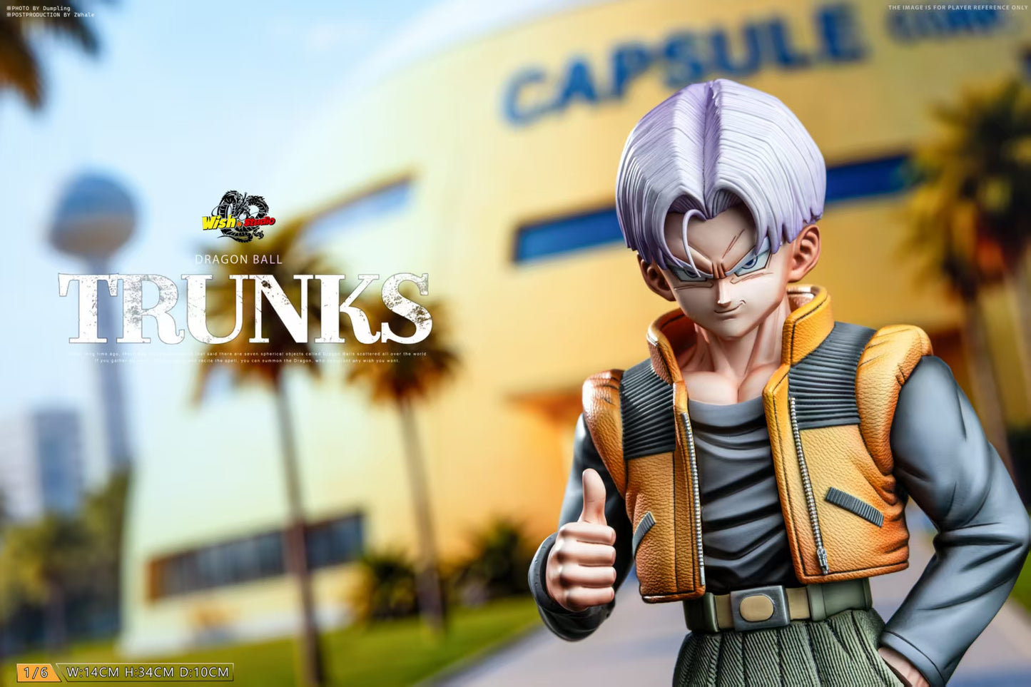 Wish Studio - Trunks