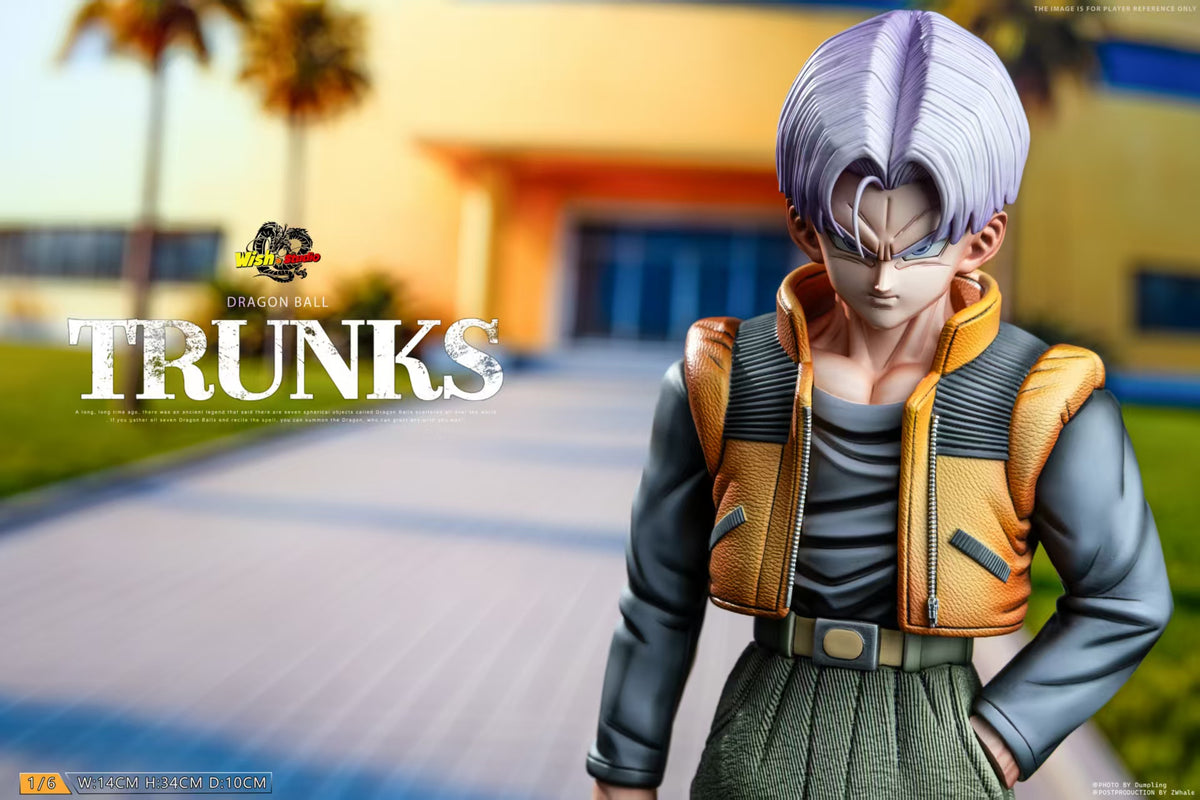 Wish Studio - Trunks