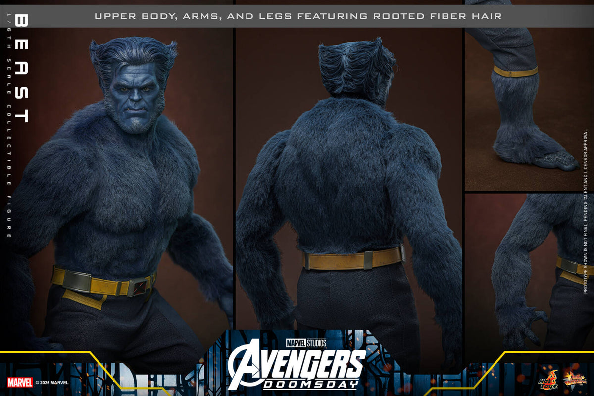 Hottoys - Avengers: Doomsday Beast 1/6th scale Collectible Figure MMS920 MMS921 [Licensed]