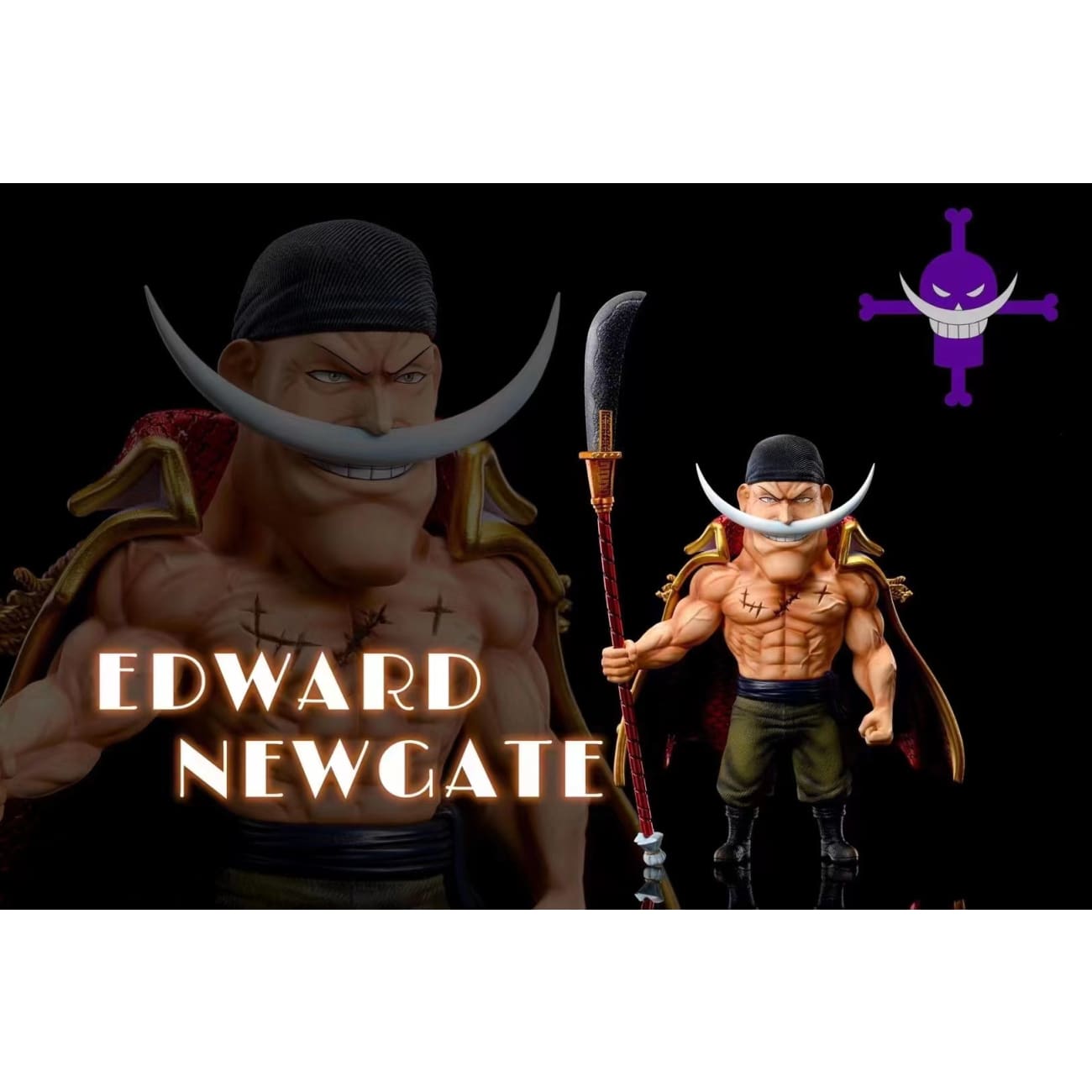 A+ Institute - Whitebeard Edward Newgate