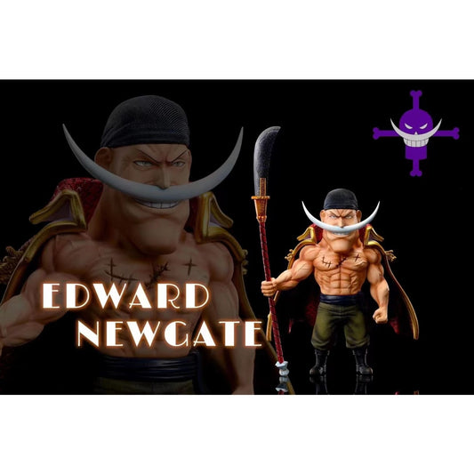 A+ Institute - Whitebeard Edward Newgate