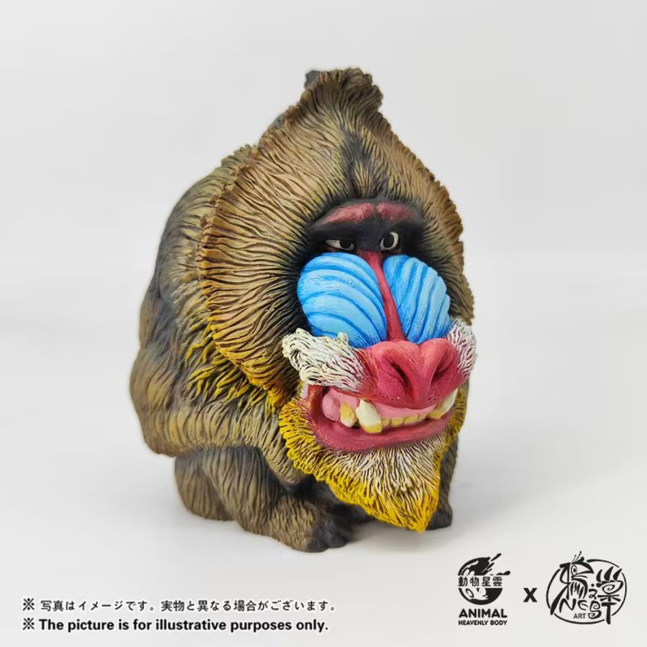 Animal Heavenly Body x Nest Art - Nasreddin & Tutu