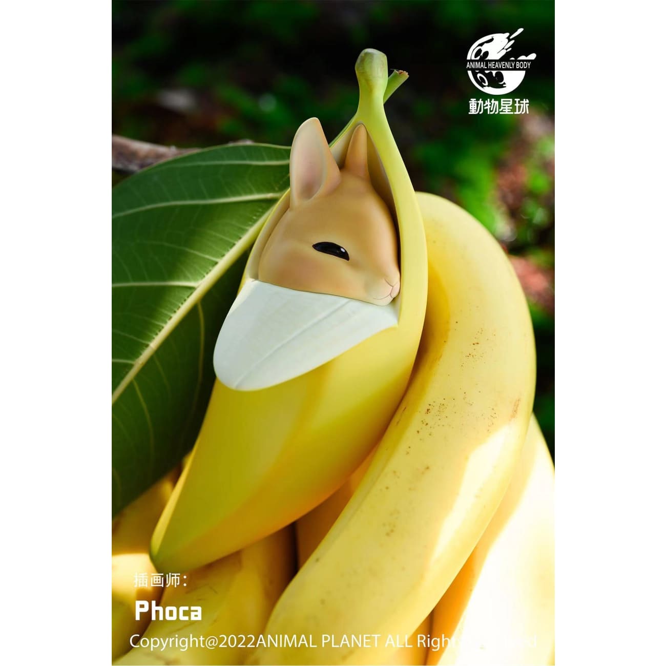 Animal Planet - Banana rabbit