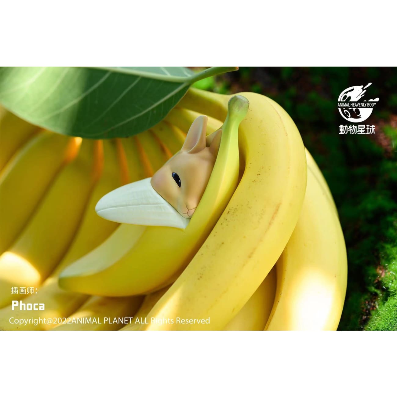 Animal Planet - Banana Rabbit