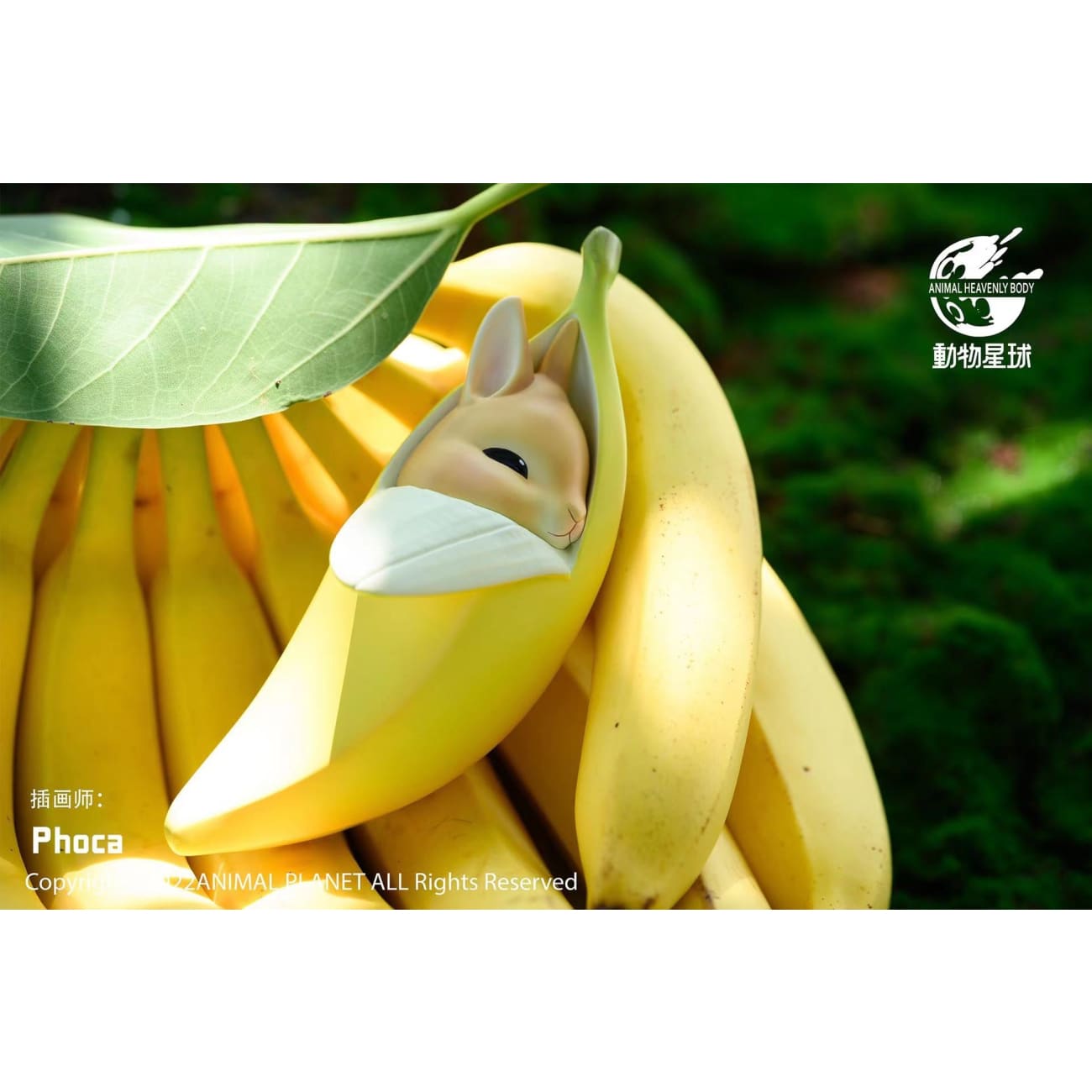 Animal Planet - Banana rabbit