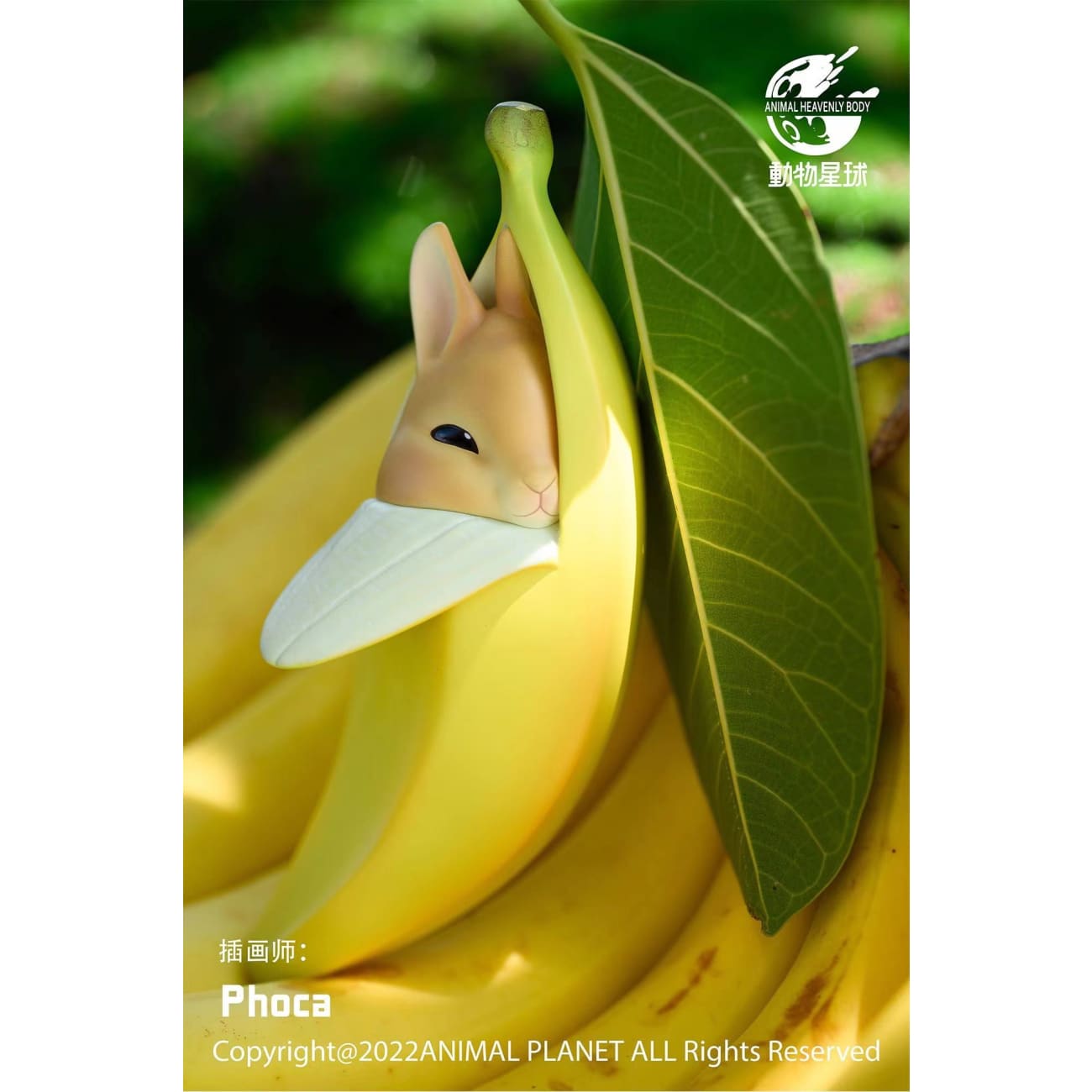 Animal Planet - Banana rabbit