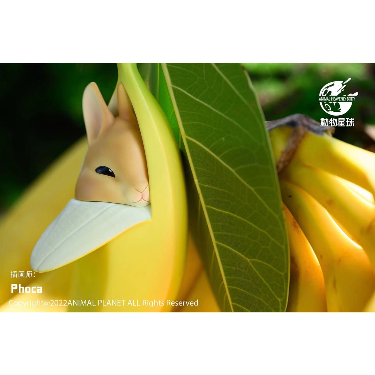 Animal Planet - Banana rabbit