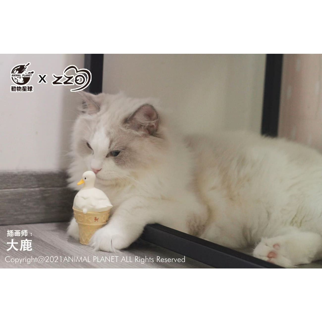 Animal Planet - Duck series ice cream full set