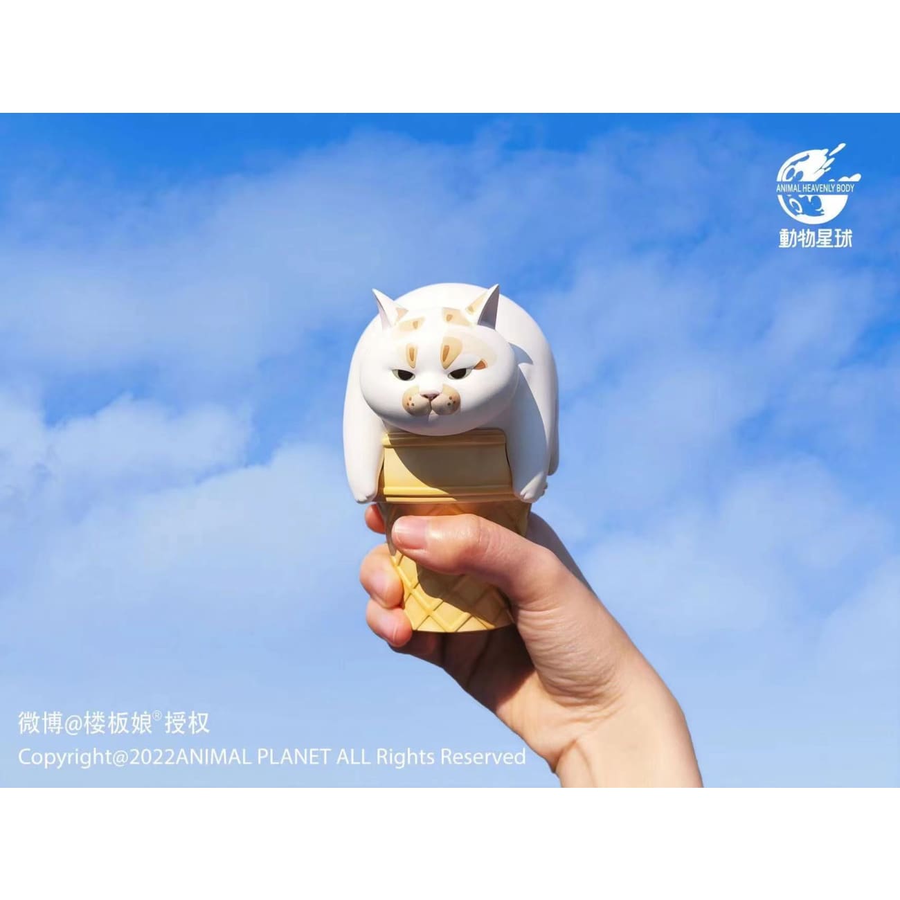 Animal Planet - Ice Cream Cat 