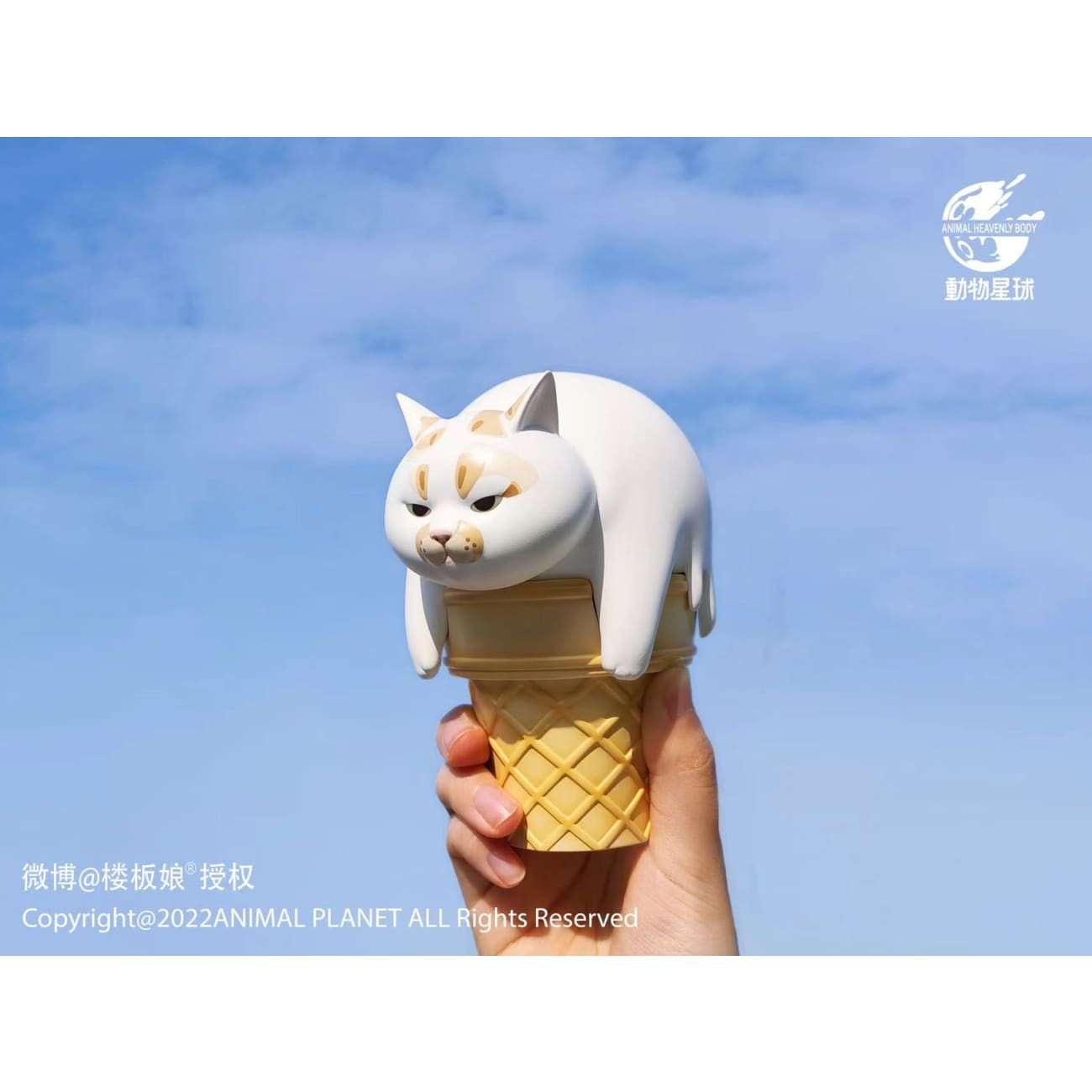 Animal Planet - Ice Cream Cat 