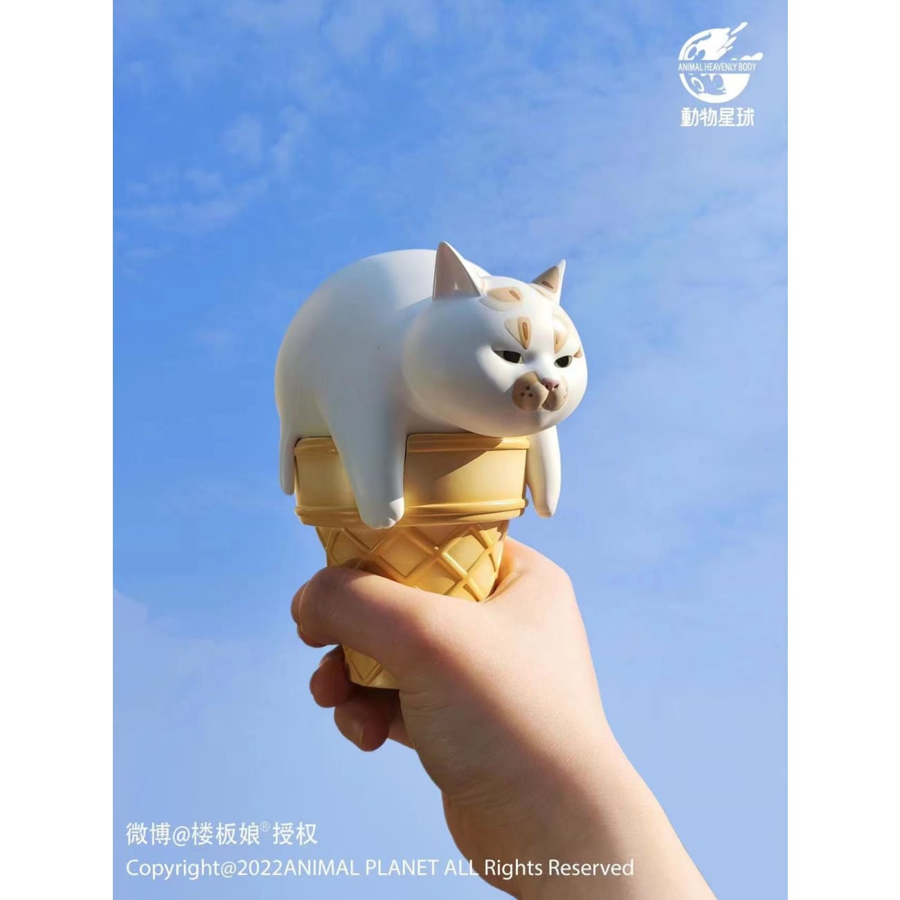 Animal Planet - Ice Cream Cat 