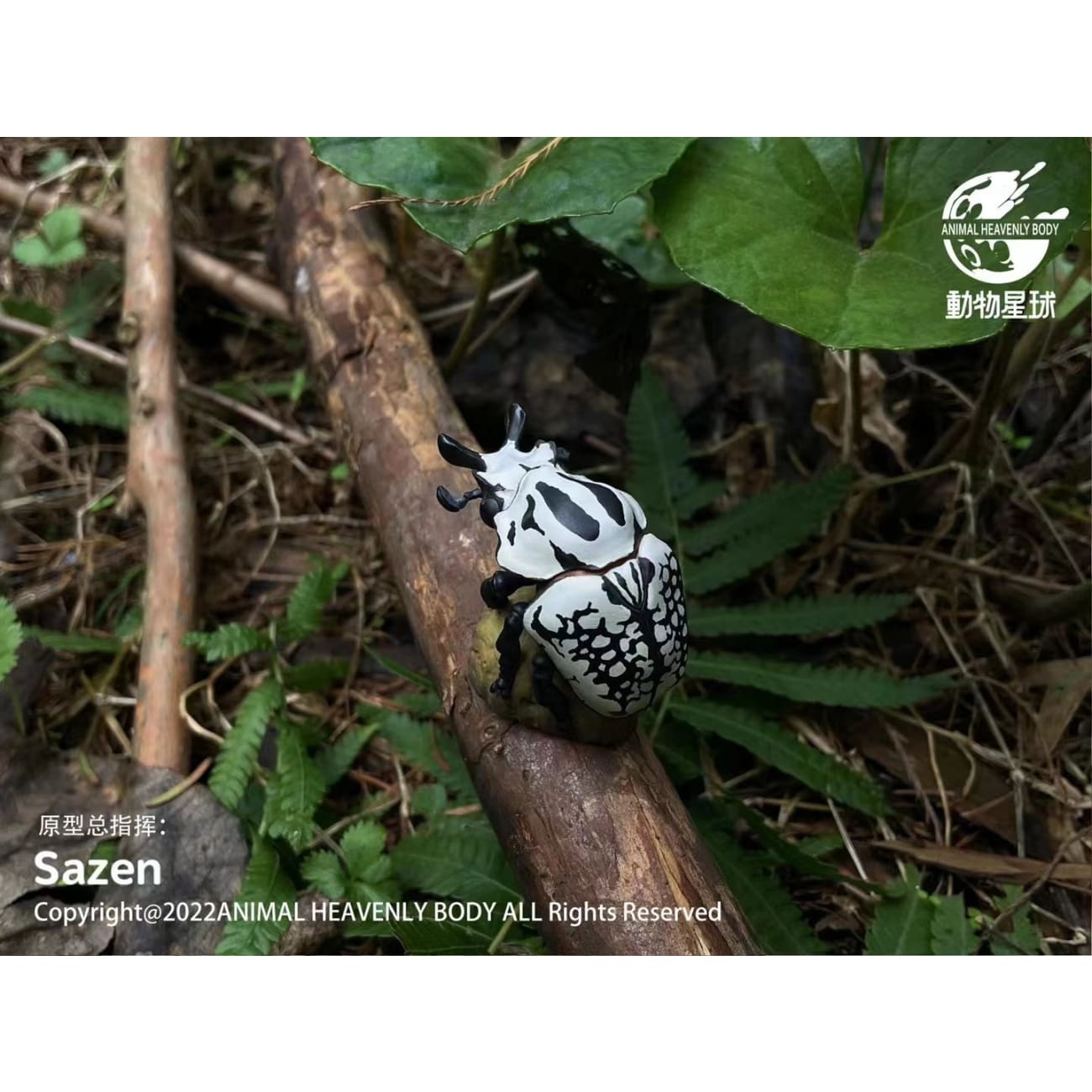 Animal Planet - Lycosa, Hexarthrius Parryi, Hymenopus Coronatus, Goliathus Goliatus, Goliathus Orientalis & Acrididae