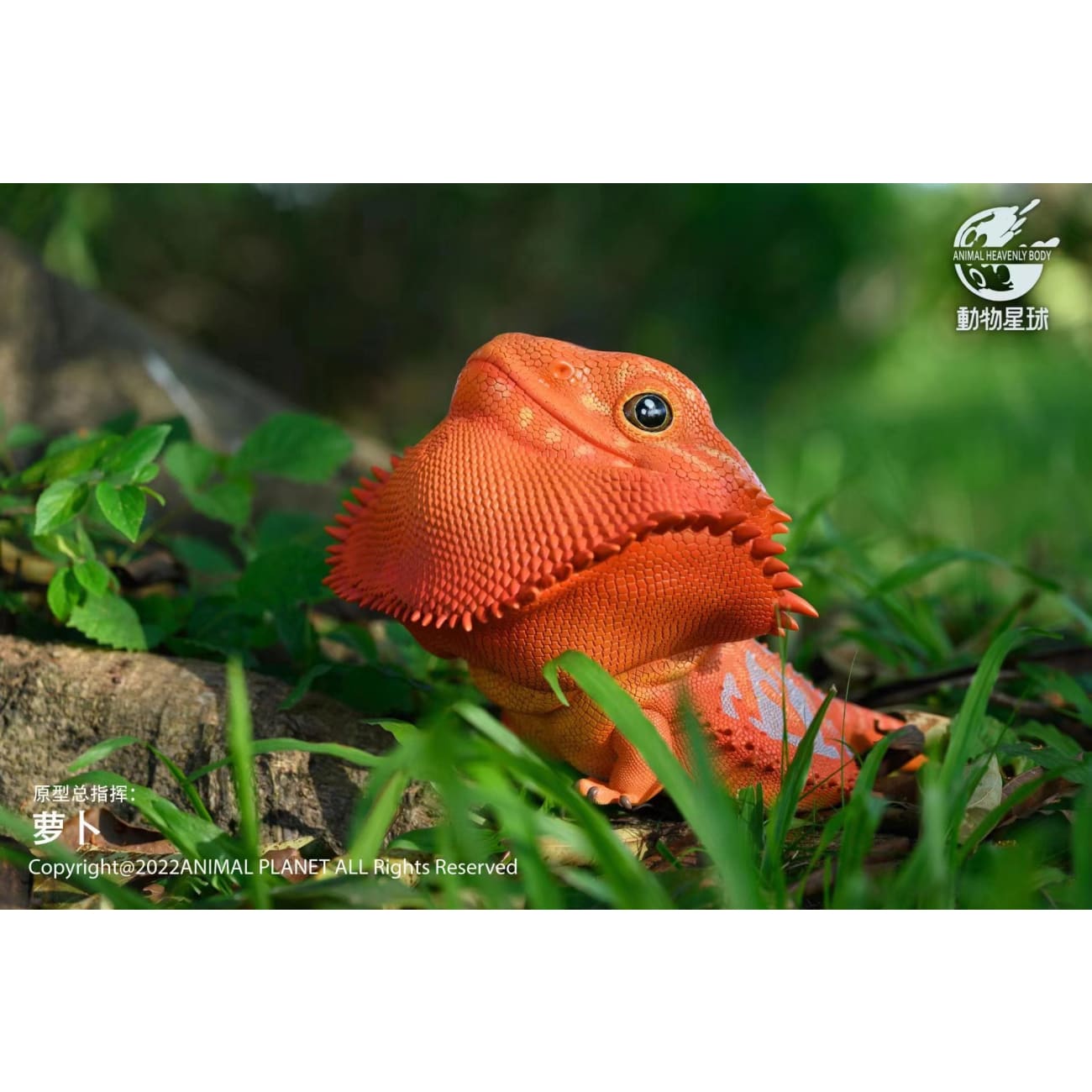 Animal Planet - Pogona Vitticeps [2 Variants]