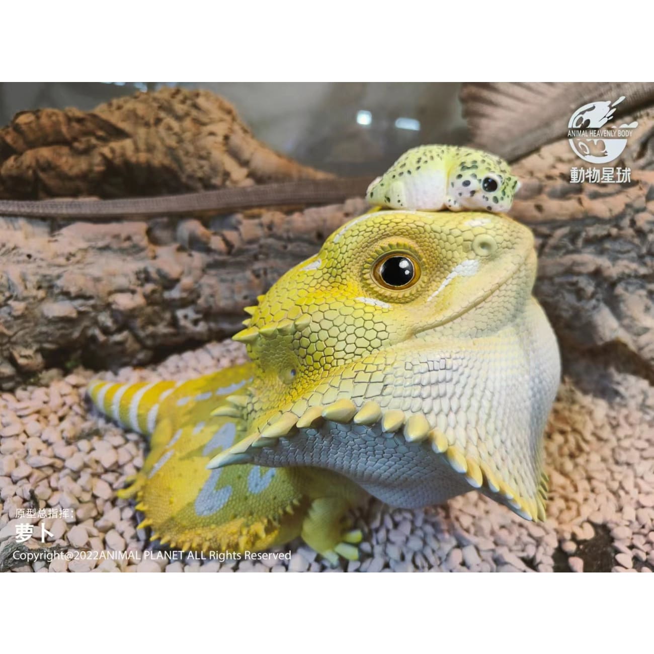 Animal Planet - Pogona Vitticeps [2 Variants]