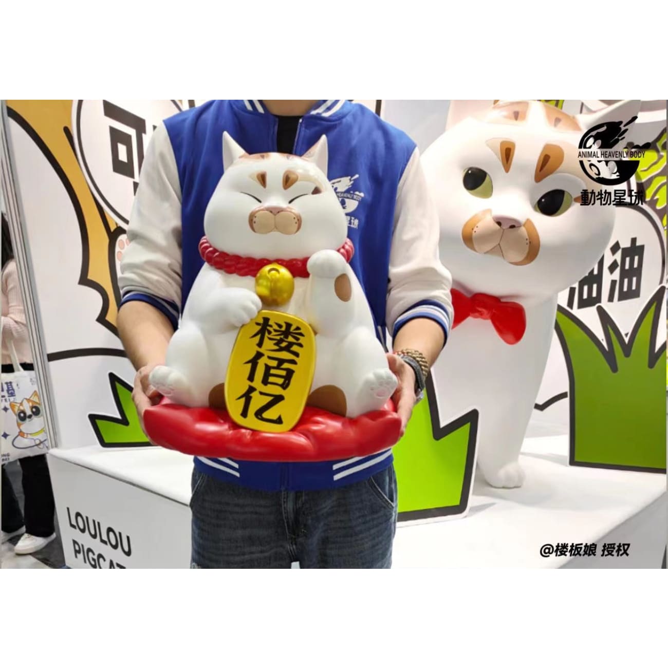 Animal Planet Studio - Fortune Cat