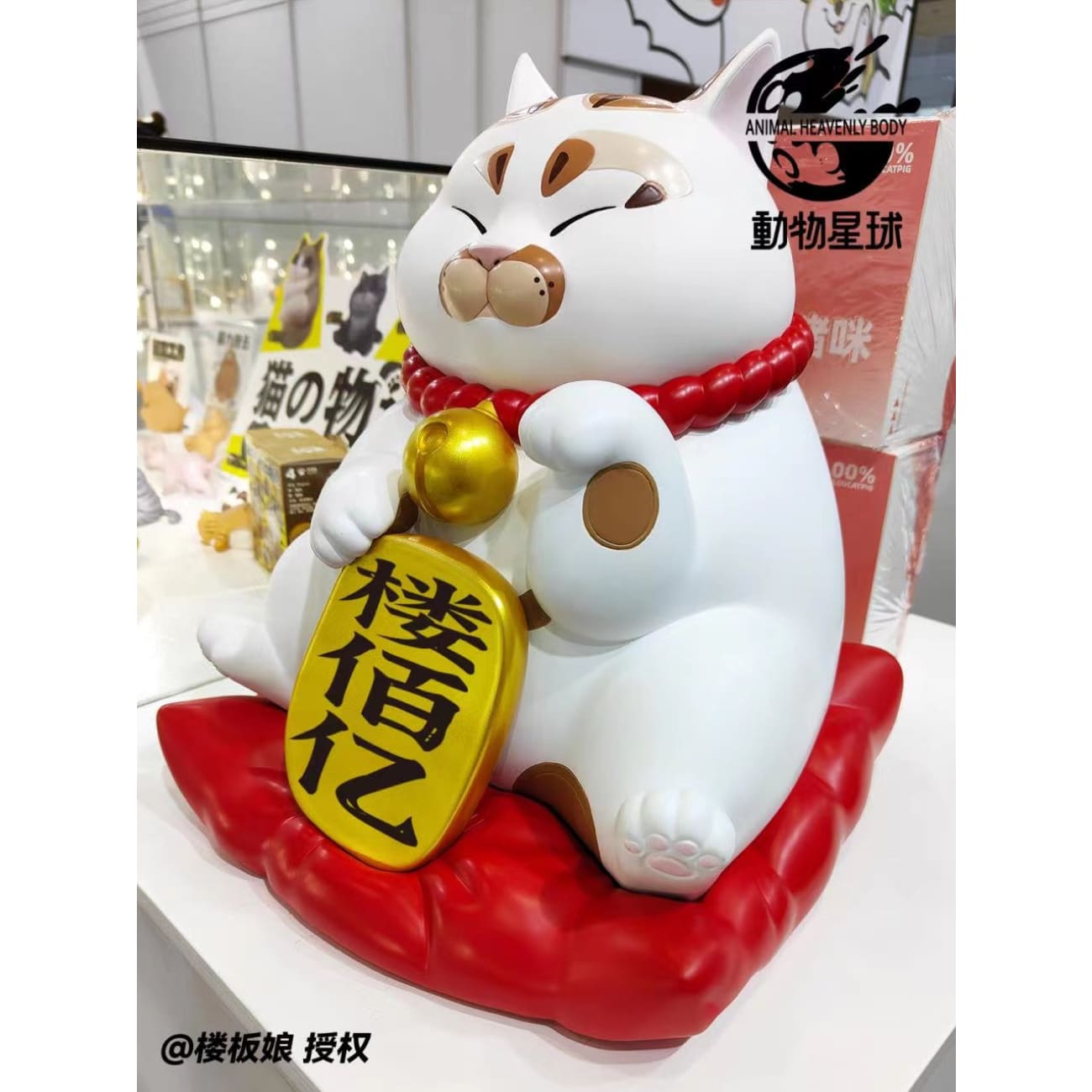 Animal Planet Studio - Fortune Cat