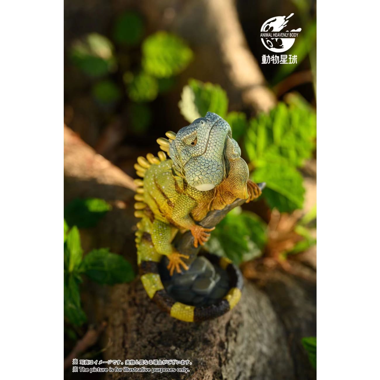 Animal Planet Studio - Green Iguana