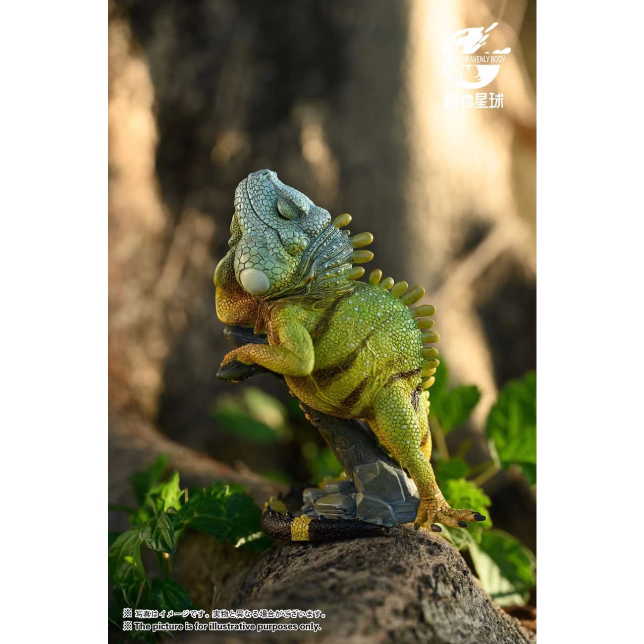 Animal Planet Studio - Green Iguana