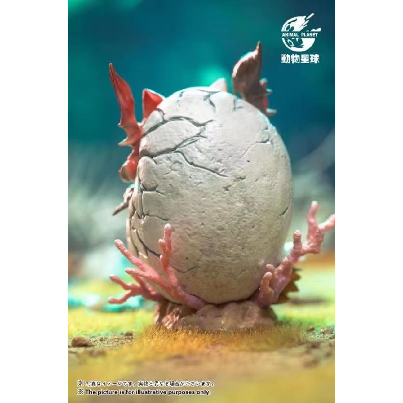 Animal Planet - Whale Dragon Egg