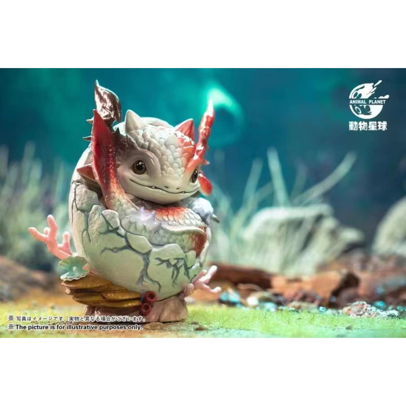 Animal Planet - Whale Dragon Egg