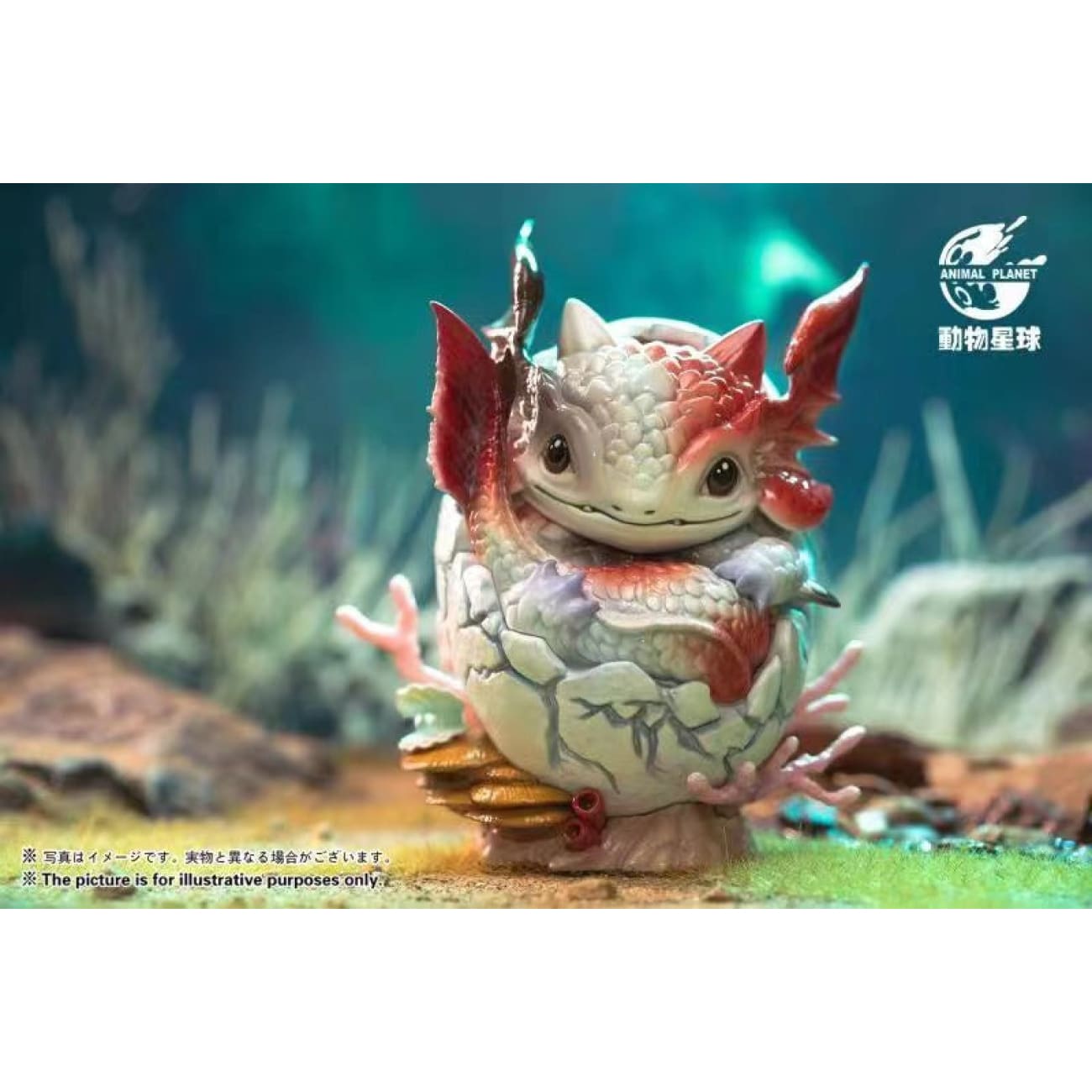 Animal Planet - Whale Dragon Egg