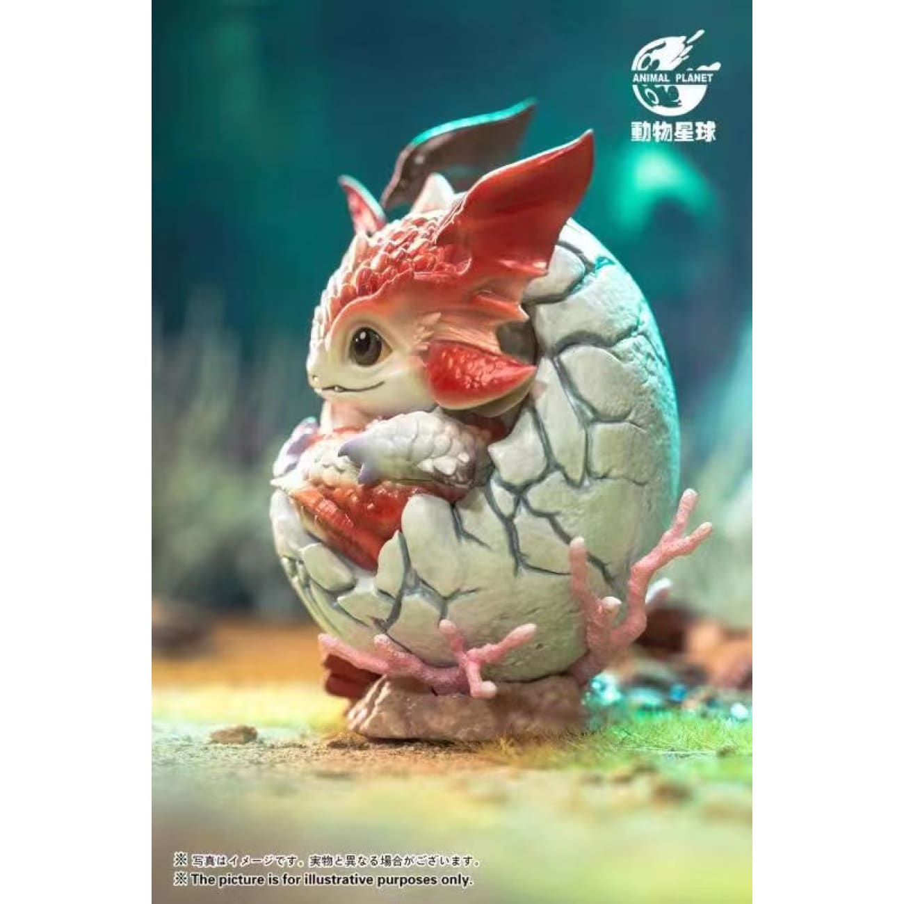 Animal Planet - Whale Dragon Egg
