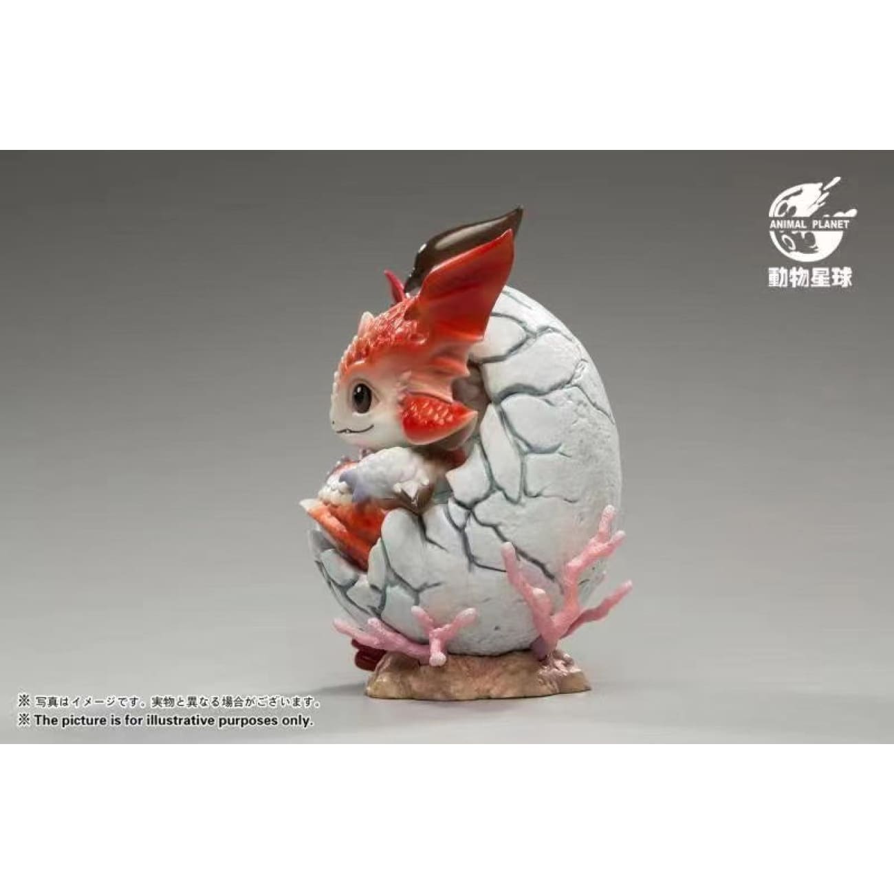 Animal Planet - Whale Dragon Egg