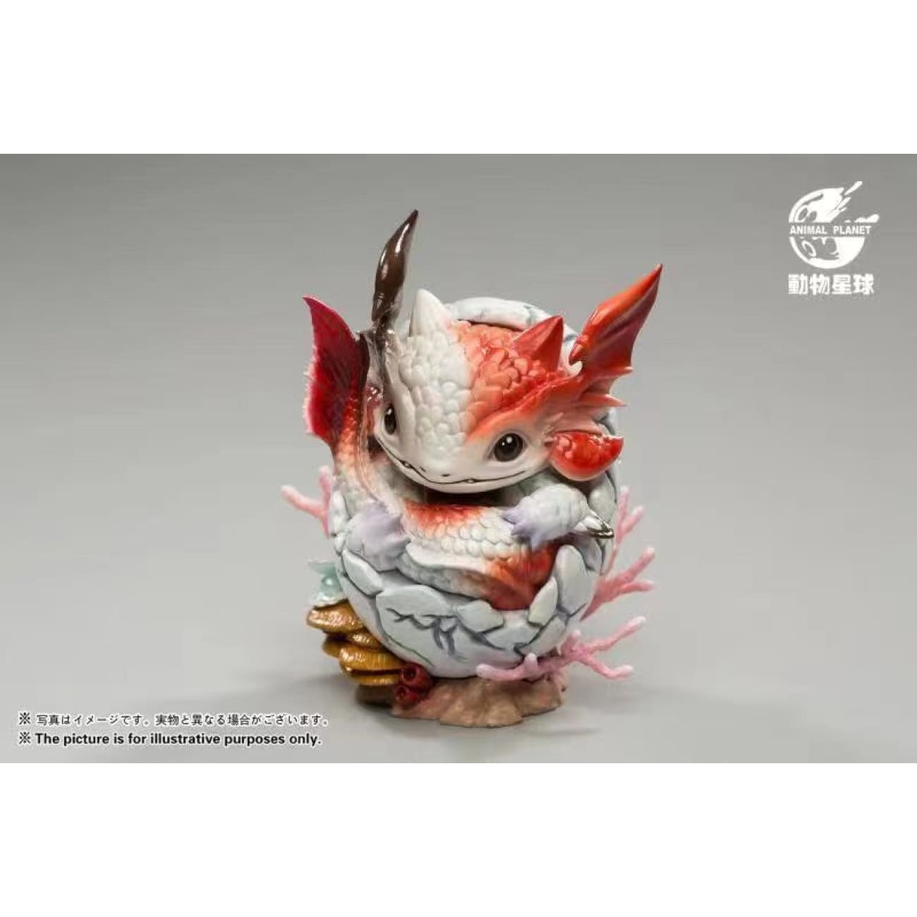 Animal Planet - Whale Dragon Egg