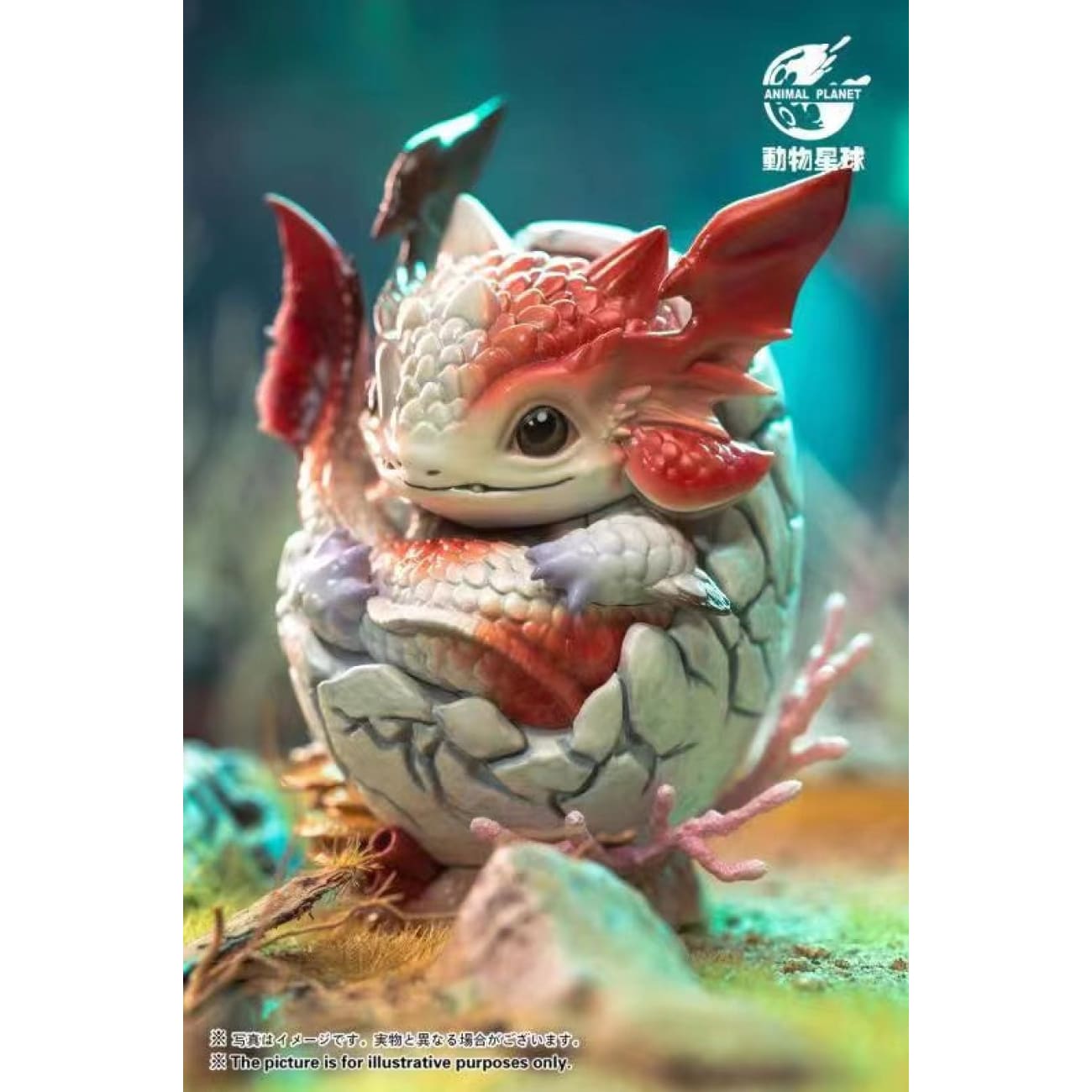 Animal Planet - Whale Dragon Egg