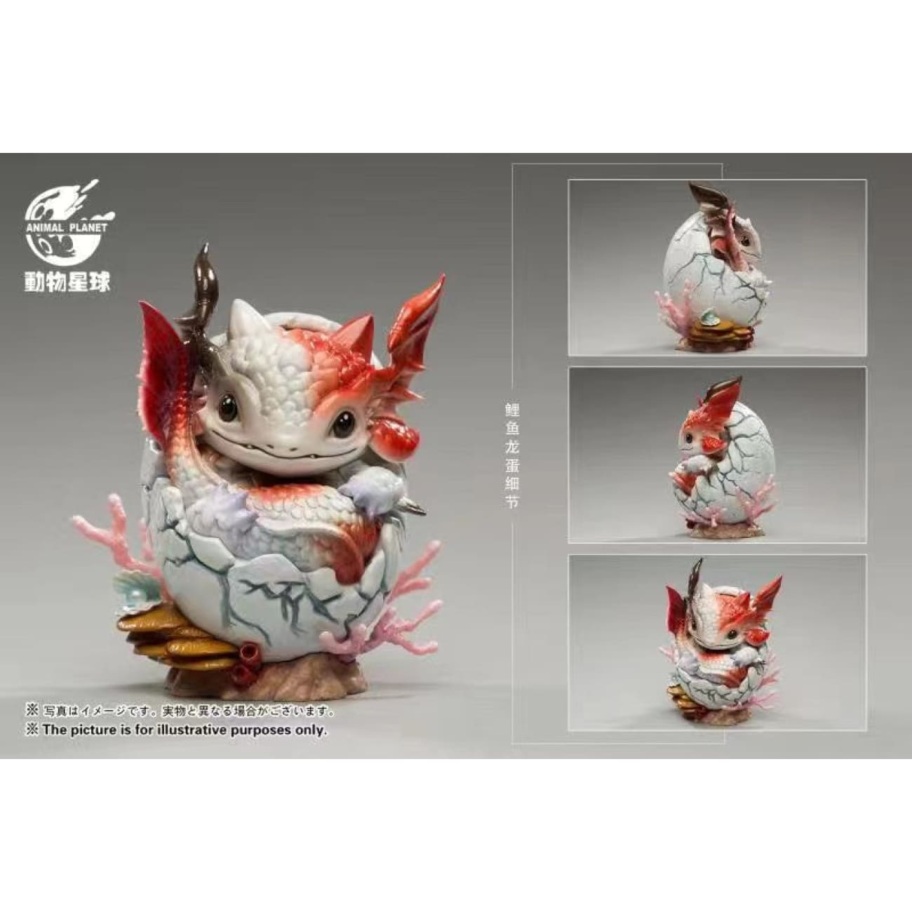 Animal Planet - Whale Dragon Egg