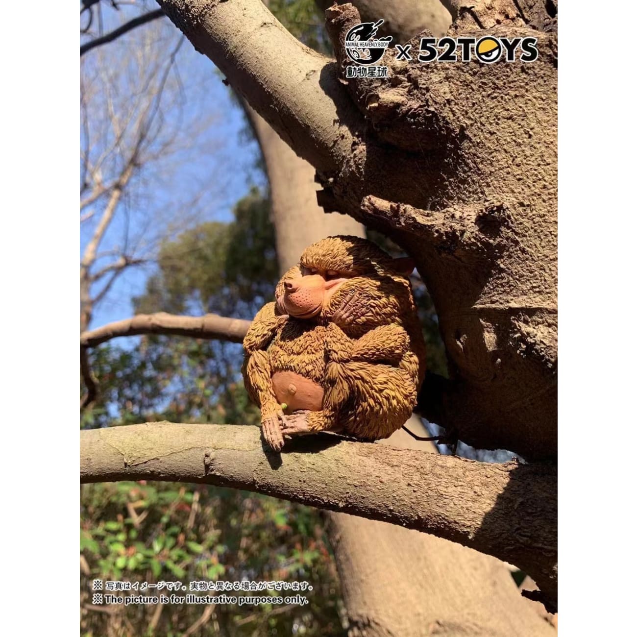 Animal Planet X. 52TOYS  - Chacma baboon