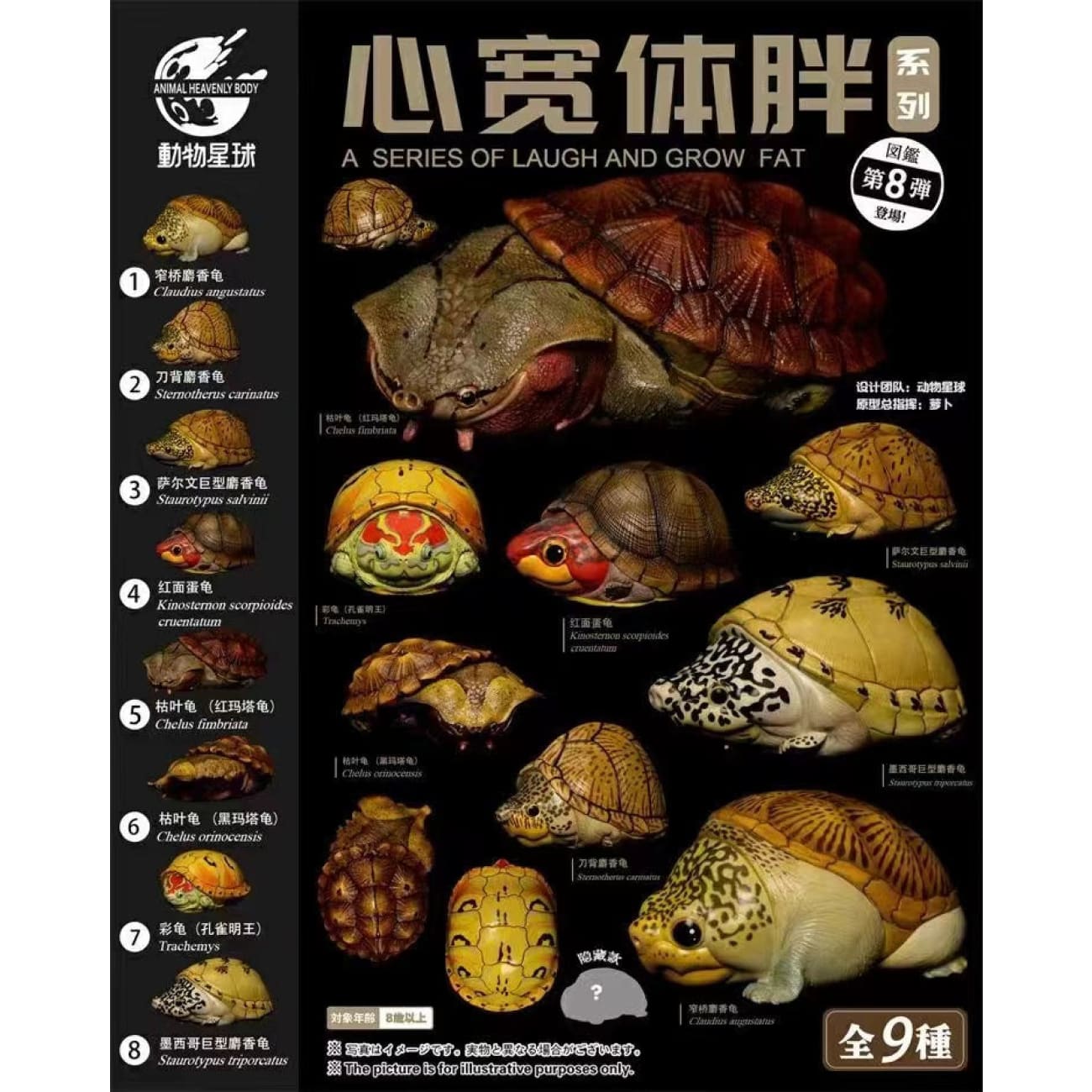 Animal Planet X Dodowo - Claudius Angustatus / Sternotherus Carinatus / Staurotypus Salvinii / Kinosternon Scorpioides Cruentatum / Chelus Orinocensis / Trachemys / Staurotypus Triporcatus 