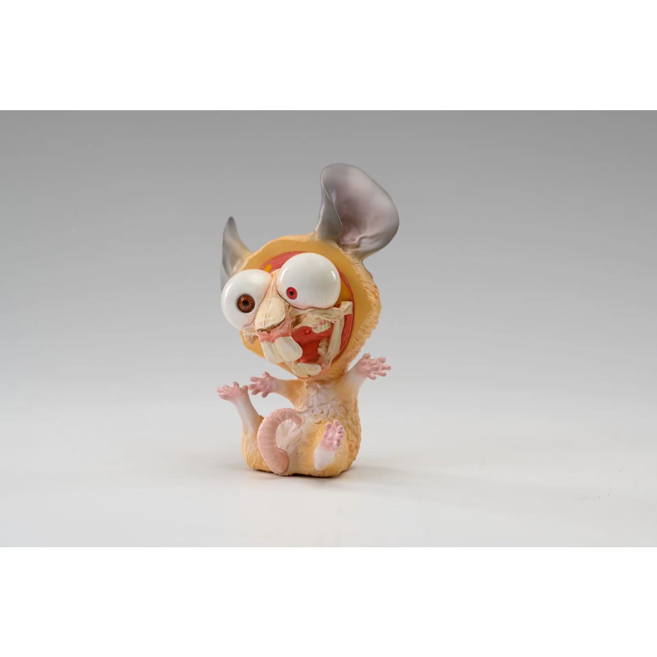 Animal Planet x Double Two Studio - Rat