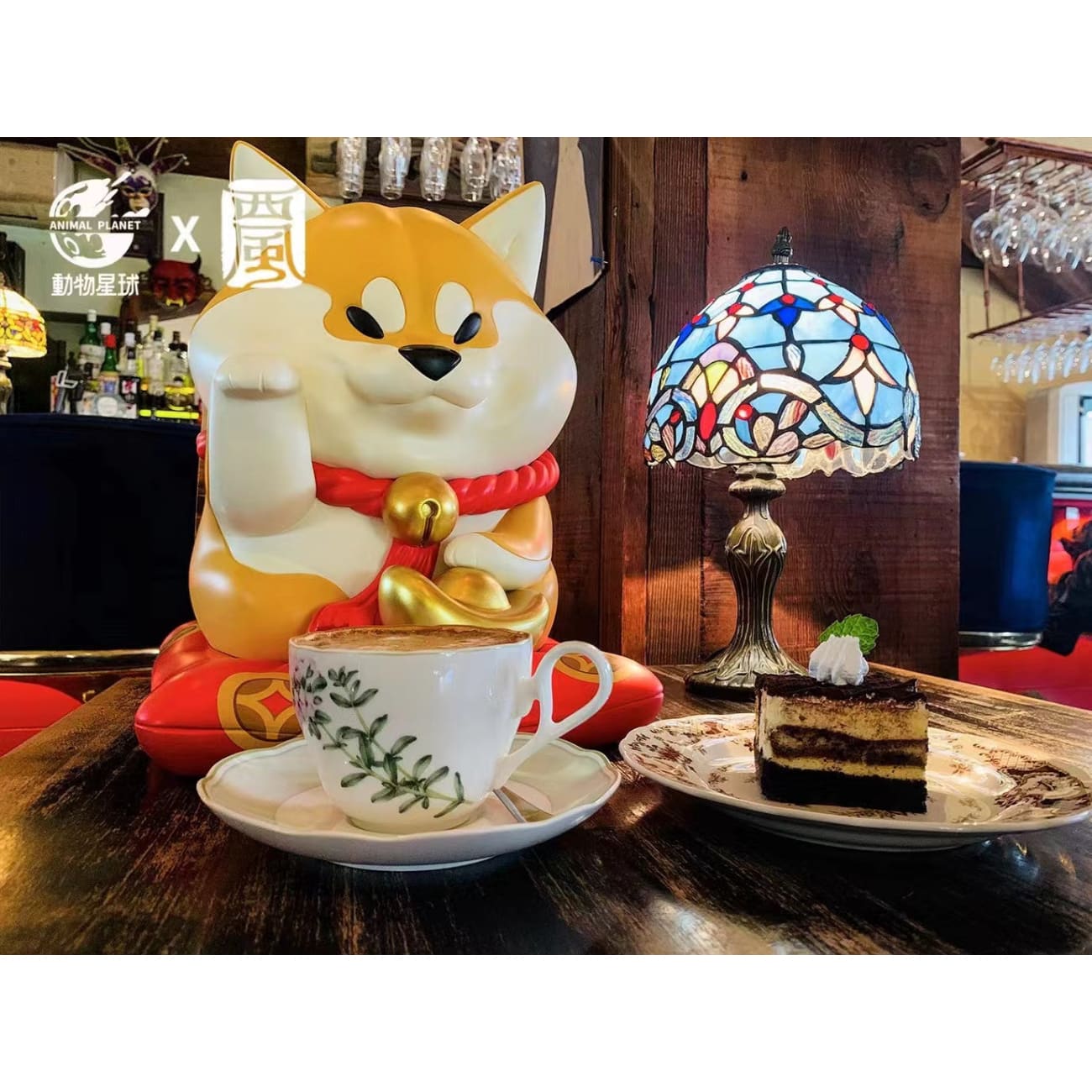 Animal Planet X Xi Feng - Shiba Inu Fortune