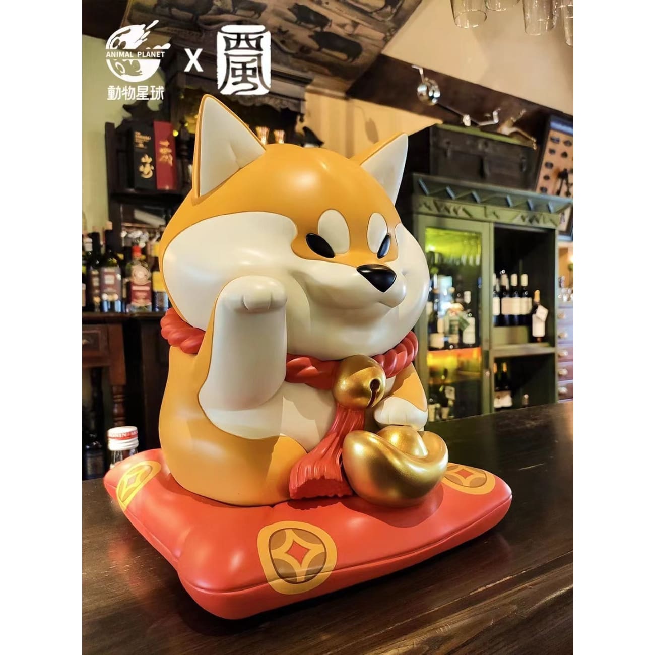 Animal Planet X Xi Feng - Shiba Inu Fortune