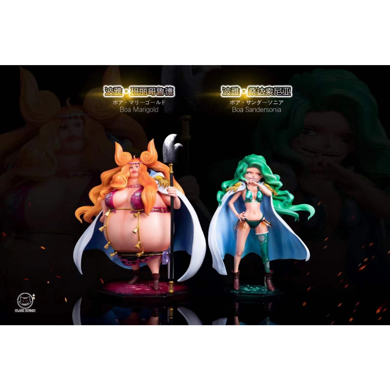 Black Studio - Boa Sandersonia / Boa Marigold