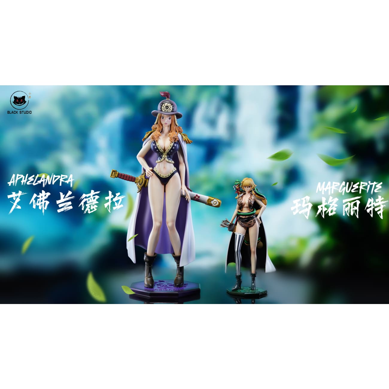 Black Studio - Marguerite / Aphelandra