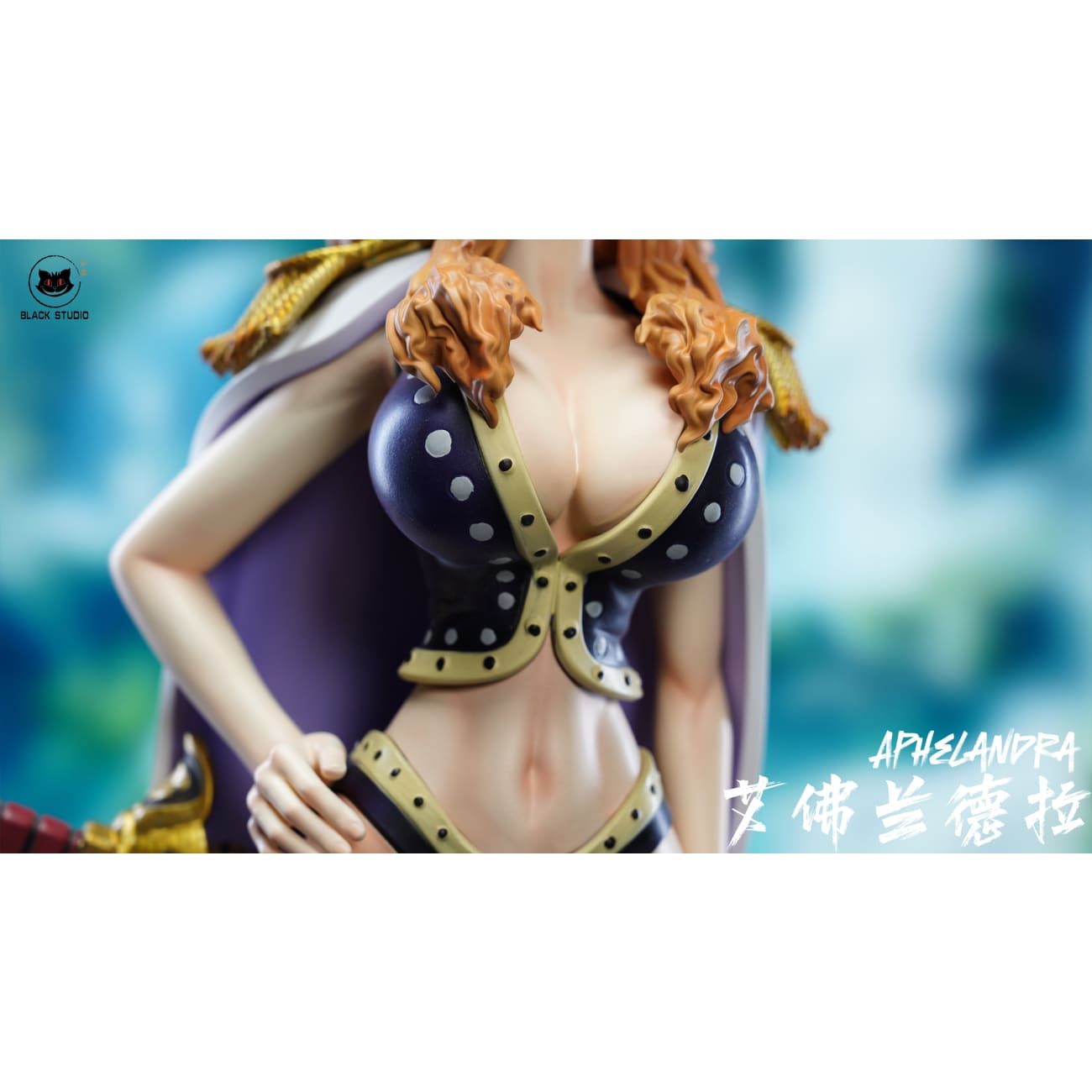 Black Studio - Marguerite / Aphelandra
