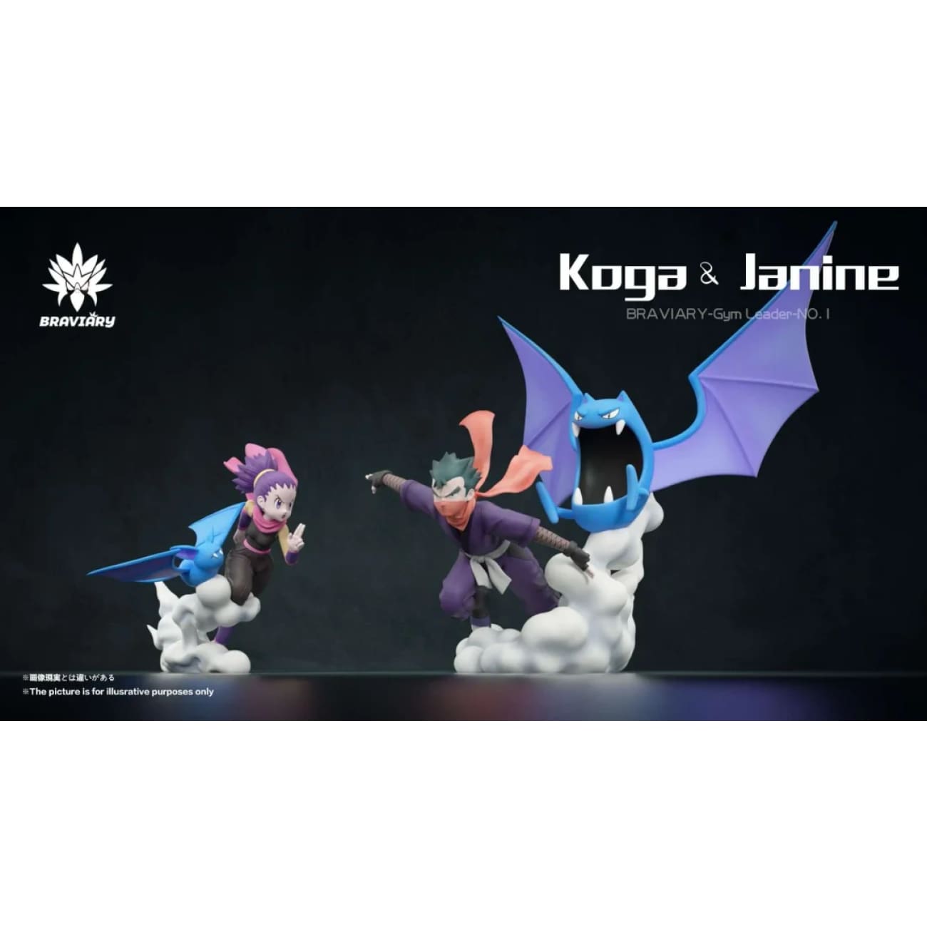 Braviary Studio - Fuchsia Gym Koga Set / Janine Set