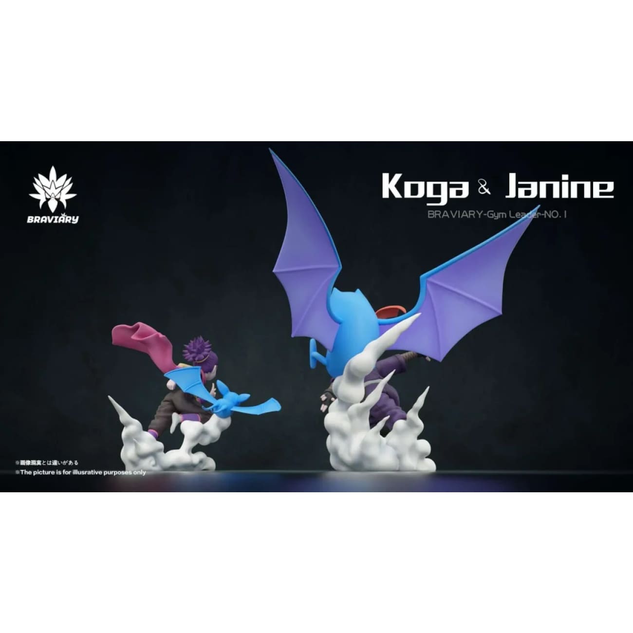 Braviary Studio - Fuchsia Gym Koga Set / Janine Set
